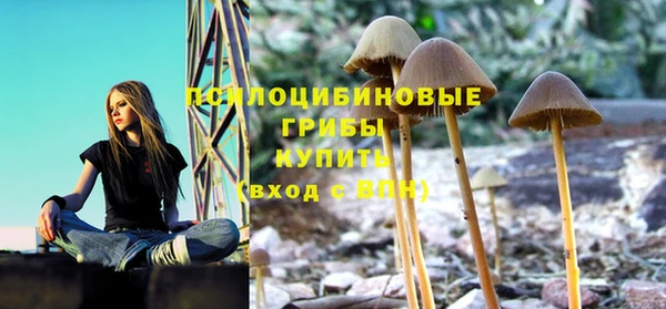 ECSTASY Семёнов