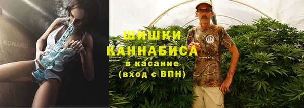 СК Семилуки